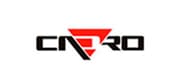 Logo cnro